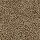 Mohawk Carpet: True Approach Rich Copper